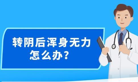 新澳精準(zhǔn)資料免費(fèi)提供，探索第510期的奧秘與價值