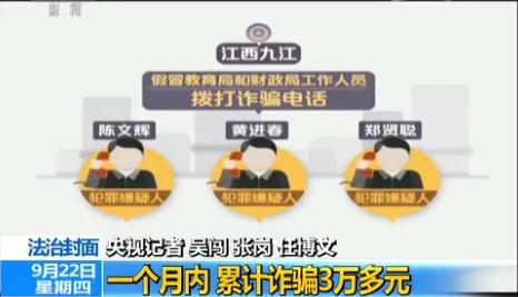 精準一肖一碼一子一中，揭示背后的犯罪問題