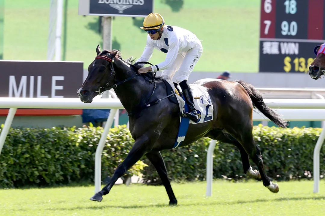 香港特馬資料王中王與違法犯罪問題