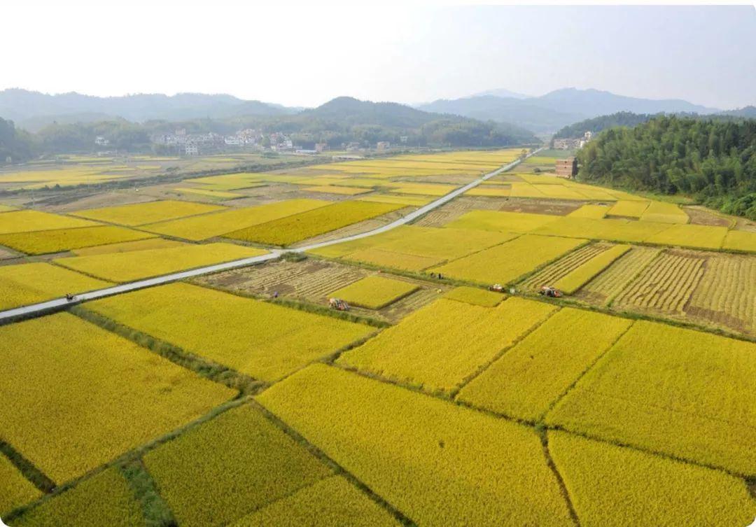 惠州市汝湖鎮(zhèn)最新規(guī)劃，打造現(xiàn)代化生態(tài)宜居城鎮(zhèn)