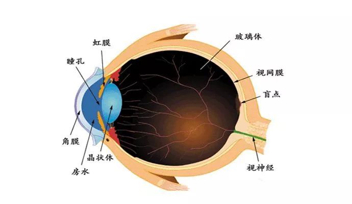 財(cái)經(jīng) 第8頁(yè)